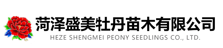 永普慶雅（菏澤）木業(yè)有限公司
